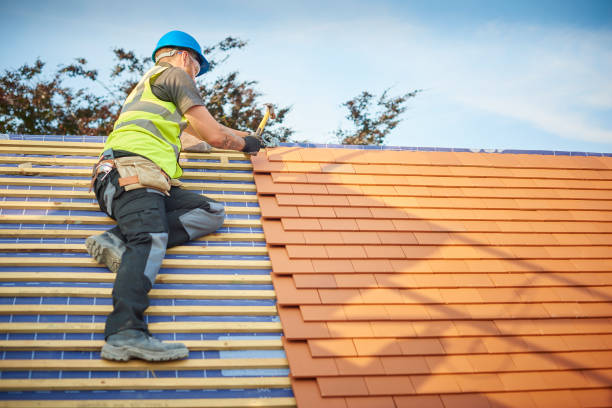 Best Roof Moss and Algae Removal  in Iota, LA